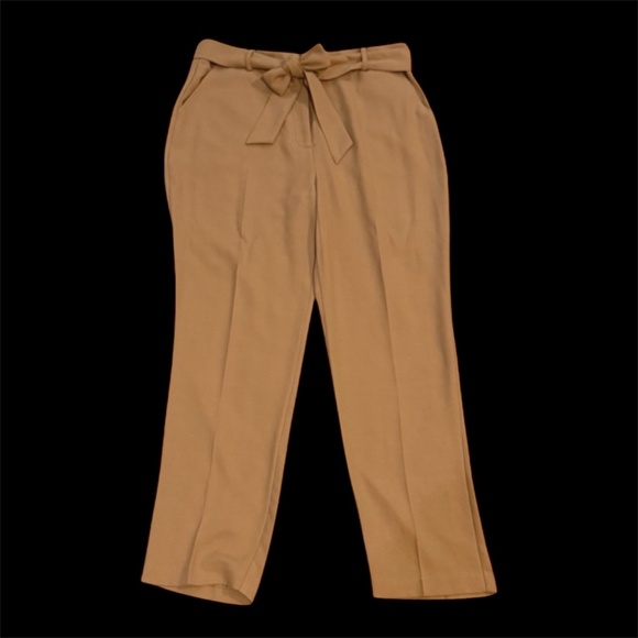 Forever 21 Taupe Pants - size L - Picture 2 of 4